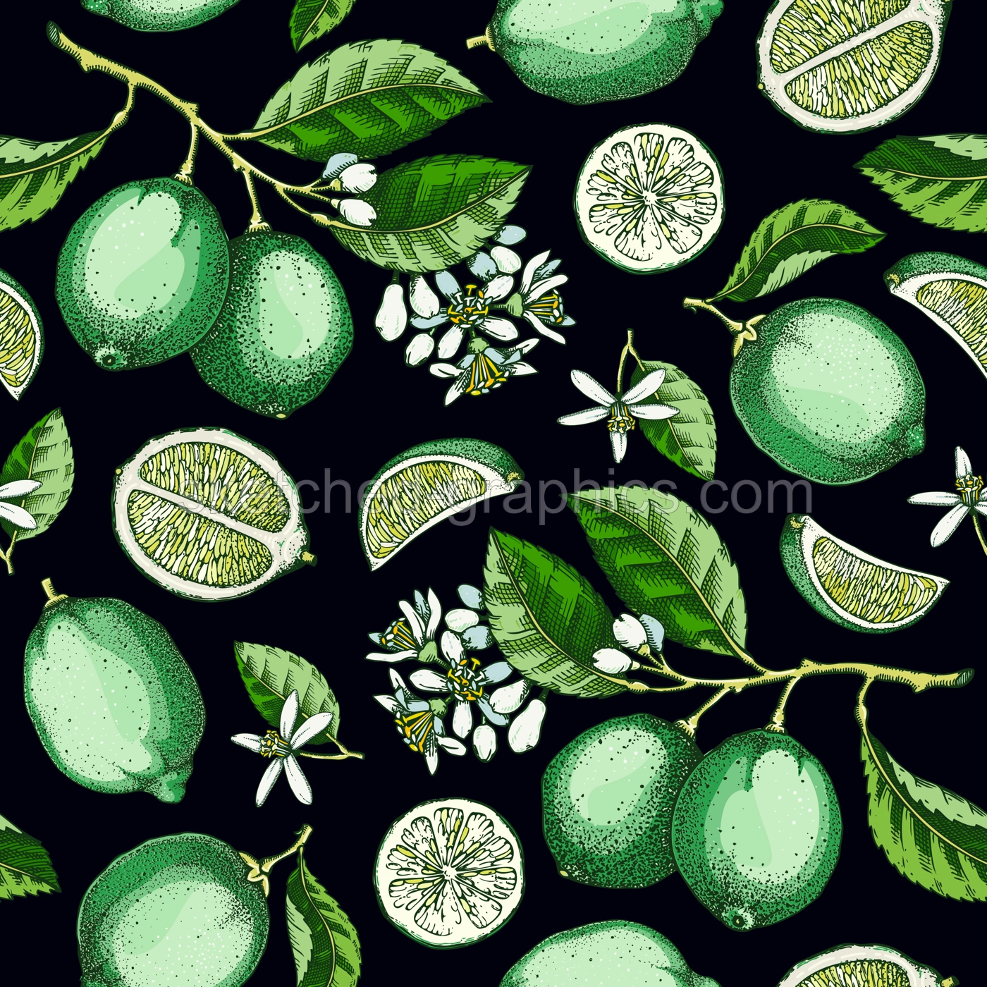 Lime fruit seamless pattern. Citrus fruit, branches, flowers sketches. Botanical background. Exotic plants texture. Hand drawn vector illustration. NOT AI generated Illustration